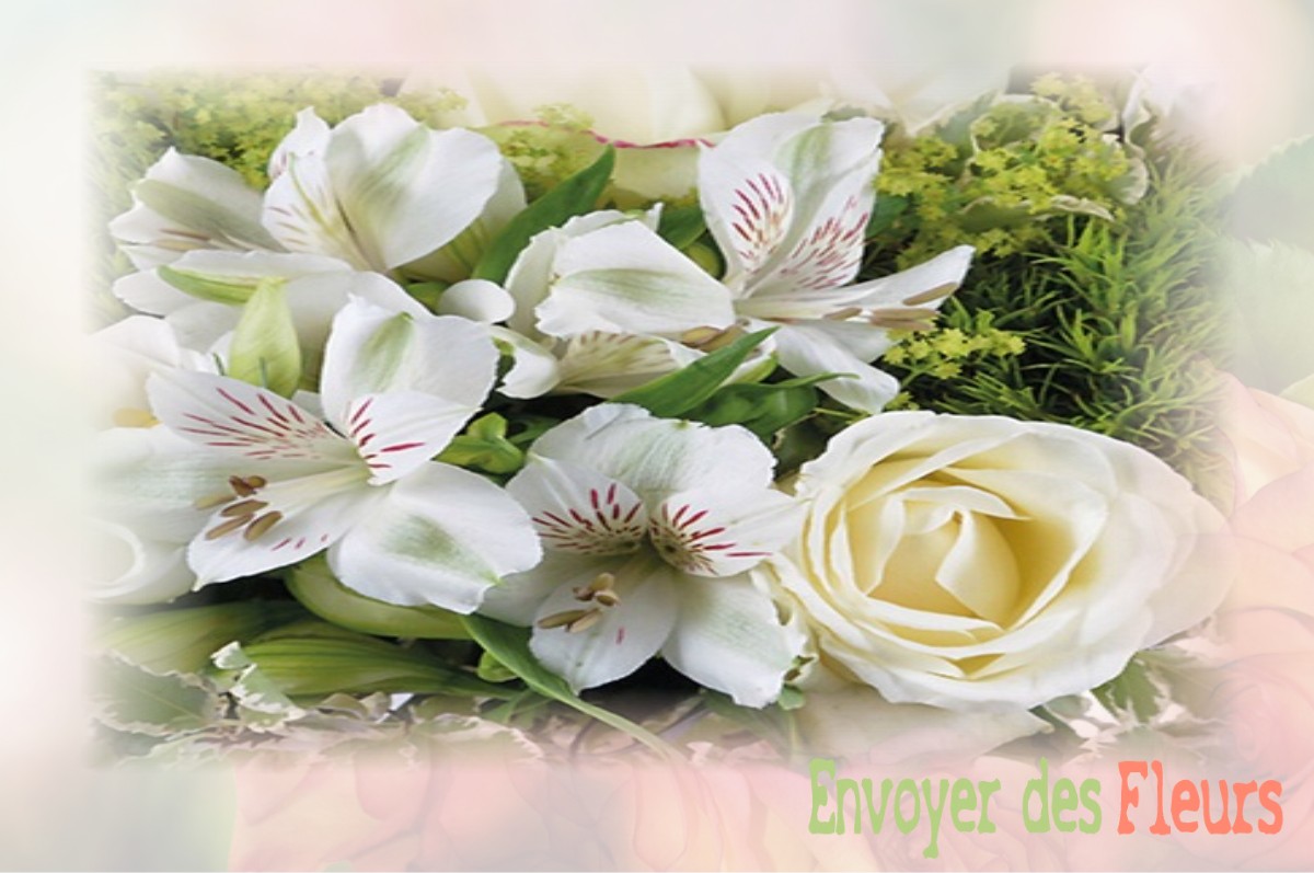 envoyer des fleurs à à SAINT-MARTIN-DES-NOYERS